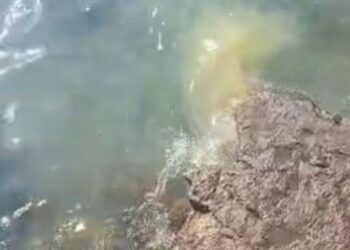 Vertidos en la Punta del Camello, en la playa de El Reducto de Arrecife (Lanzarote)AYUNTAMIENTO DE ARRECIFE