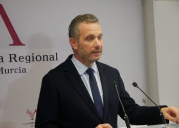 El portavoz del Partido Popular en la Asamblea Regional Joaquín SegadoPP