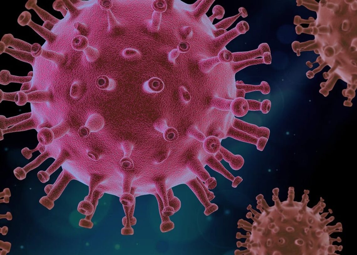 Imagen del virus del COVID-19 (el Sars-CoV-2)CSIC