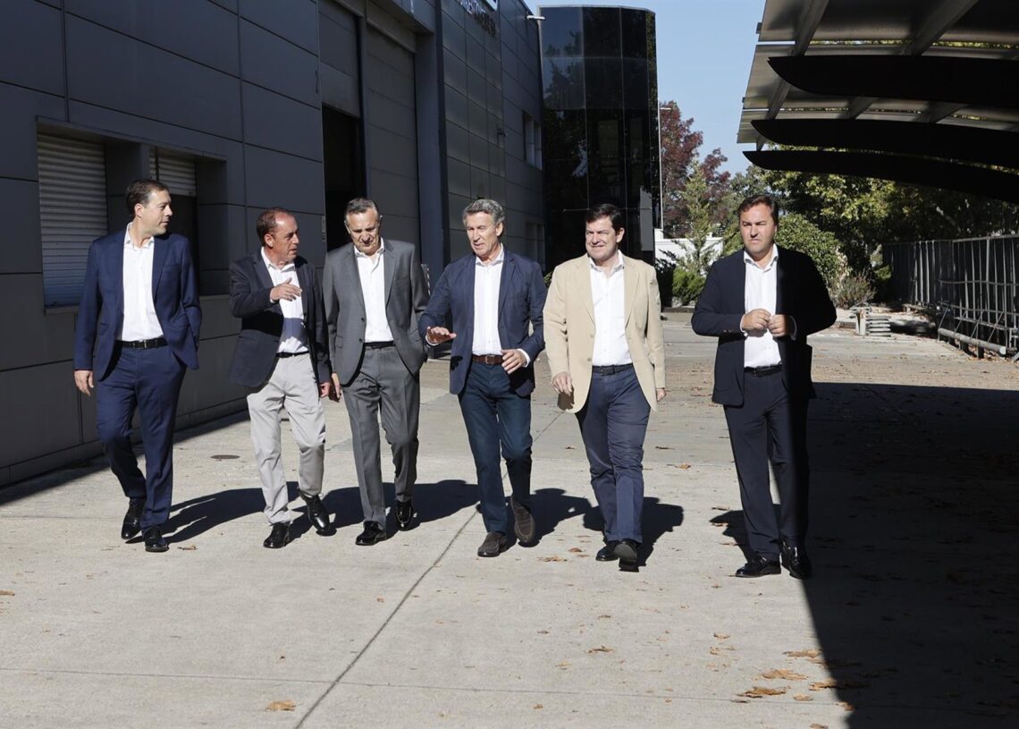 El presidente del PP, Alberto Núñez Feijóo (c), el presidente provincial del PP, Benito Serrano (2i), y el presidente del partido en Castilla y León, Alfonso Fernández Mañueco (2d) durante un acto con trabajadores autónomos en SoriaConcha Ortega Oroz - Europa Press