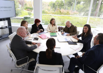 Archivo - La Reina Letizia durante su reunión con la coordinadora general de la Cruz Roja Española, María Ángeles Cacereño Ibáñez; la directora general de la Fundación Científica de la Asociación Española contra el Cáncer (AECC), Isabel Orbe Martínez-AviaCasa de S.M. el Rey - Archivo