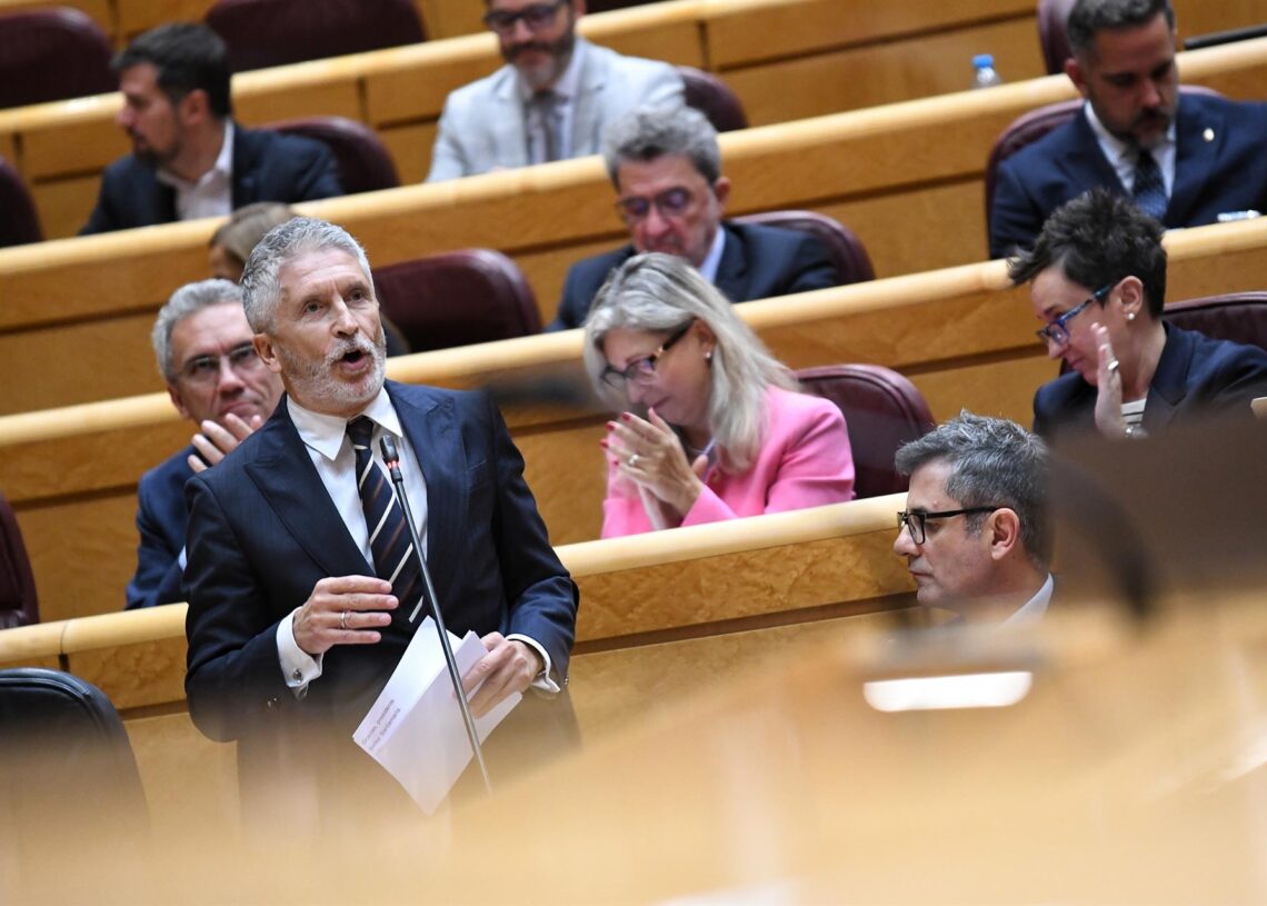 El ministro del Interior, Fernando Grande-Marlaska, interviene durante una sesión de control al Gobierno en el SenadoFernando Sánchez - Europa Press