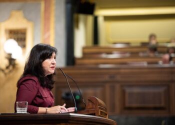 Andrea Canelo Matito, diputada del PSOECONGRESO