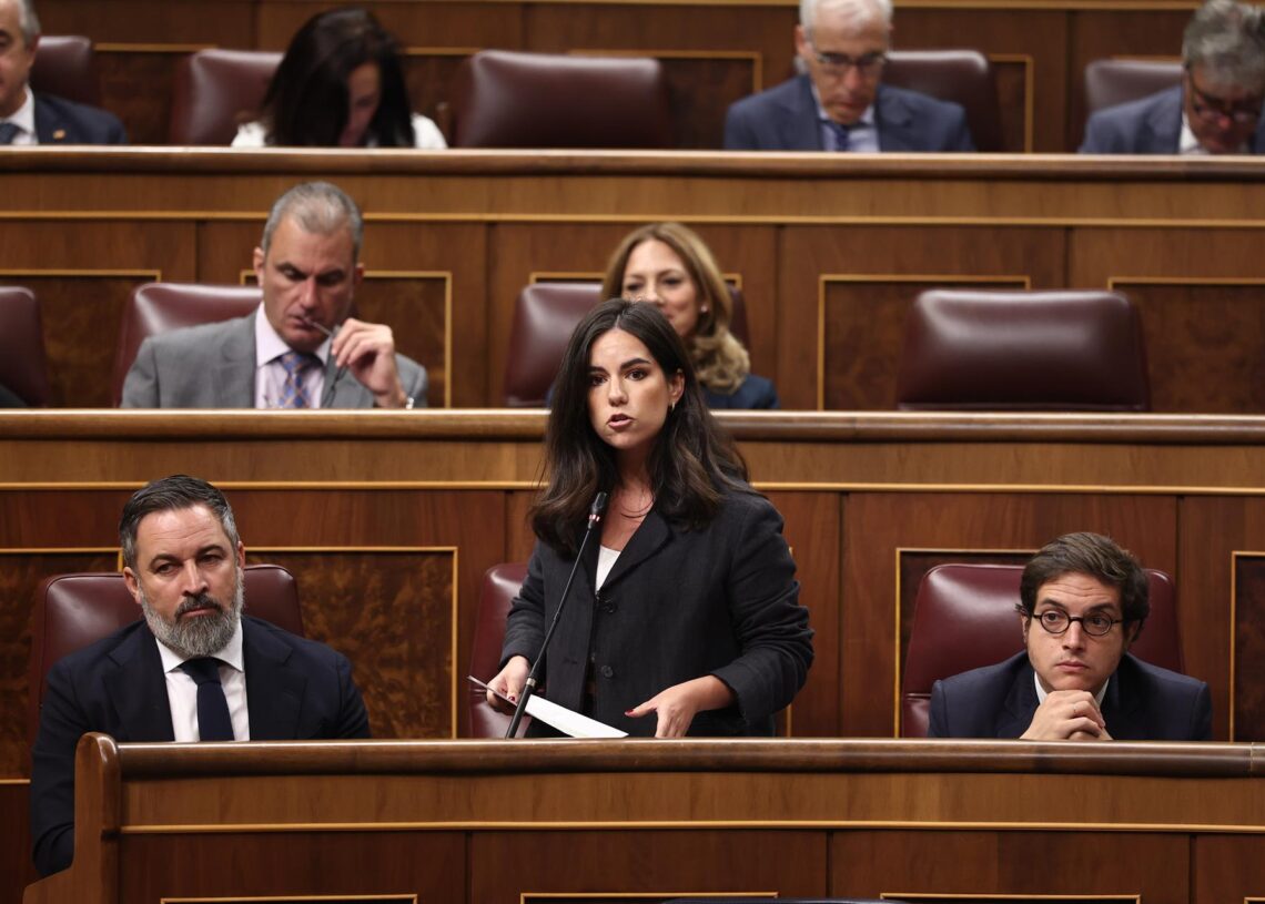 La portavoz de Vox en el Congreso, Pepa Millán, interviene durante una sesión de Control al Gobierno, en el Congreso de los Diputados.Eduardo Parra - Europa Press