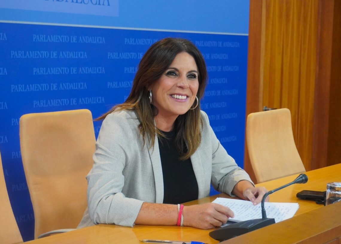 La portavoz adjunta del PSOE andaluz, Ángeles Ferriz, en una rueda de prensa en el Parlamento de Andalucía.PSOE-A