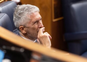 Archivo - El ministro de Interior, Fernando Grande-Marlaska, durante una sesión plenaria en el CongresoEduardo Parra - Europa Press - Archivo