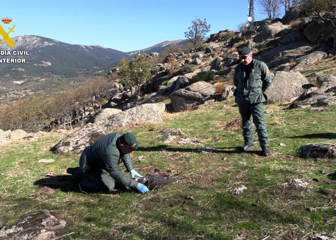 Dos agentes del SEPRONA en la investigación de uso de métodos de caza porohibidos de la Operación Antrax.GUARDIA CIVIL