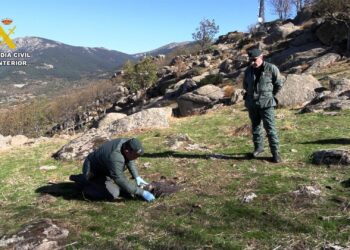Dos agentes del SEPRONA en la investigación de uso de métodos de caza porohibidos de la Operación Antrax.GUARDIA CIVIL