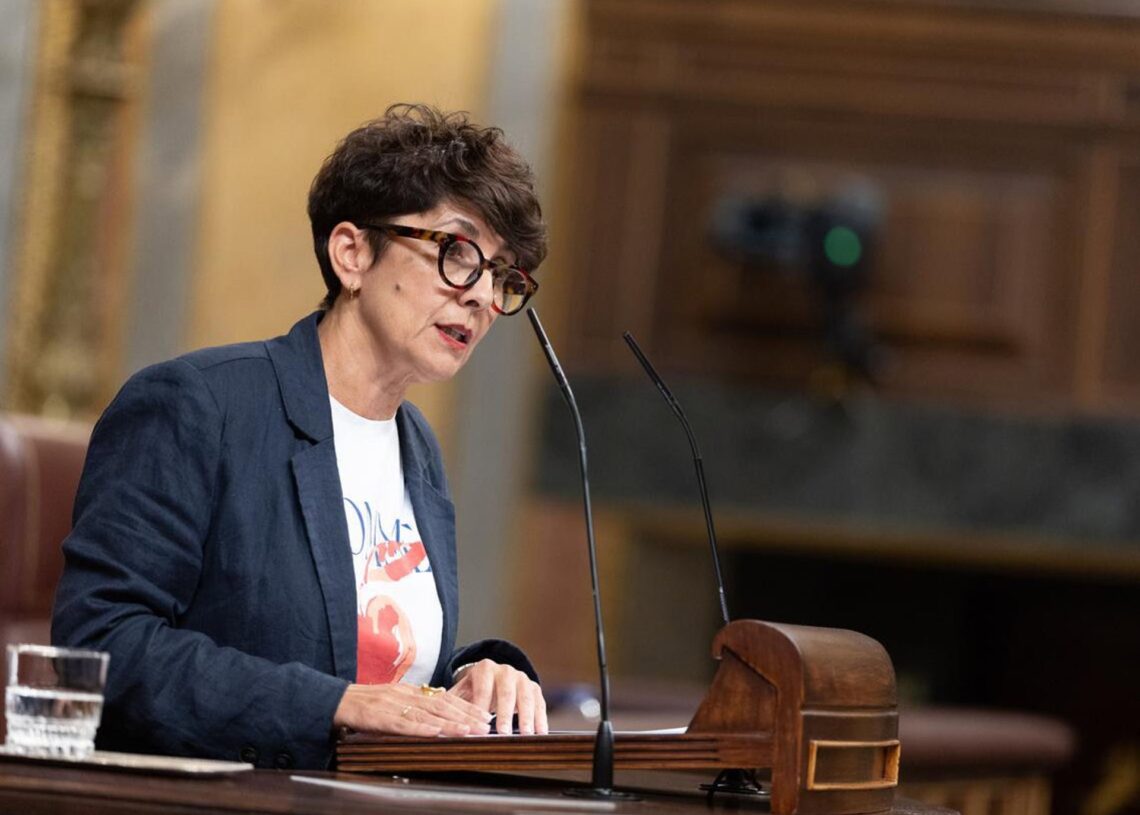 Maribel Vaquero Montero, portvoz del PNV, en la tribuna del hemicicloCONGRESO