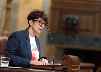 Maribel Vaquero Montero, portvoz del PNV, en la tribuna del hemicicloCONGRESO