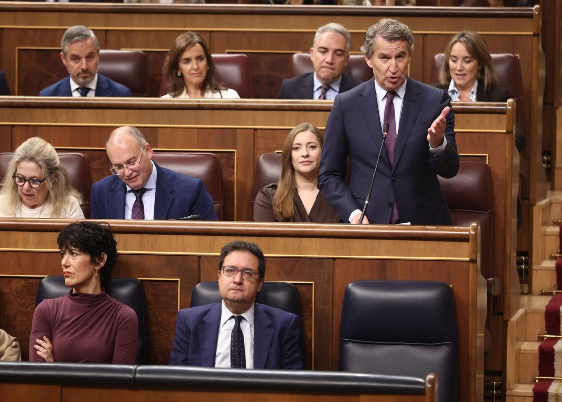 El presidente del Partido Popular, Alberto Núñez Feijóo, interviene durante una sesión de control al GobiernoEduardo Parra - Europa Press