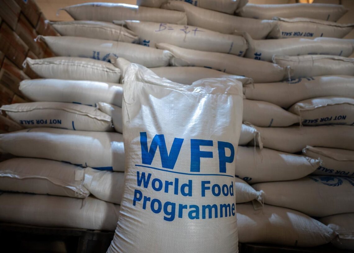 Archivo - Sacos con ayuda del Programa Mundial de Alimentos (PMA) en un almacén.Michael Kappeler/dpa - Archivo