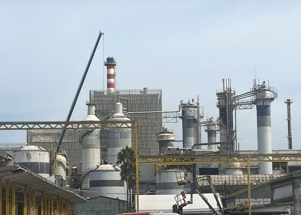 La fábrica de Ence en PontevedraENCE