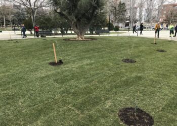 Archivo - Jardín de la Paz, en el Parque de La Aljafería.EUROPA PRESS - Archivo