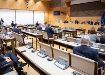 Diego Rubio, director de Gabinete de Presidencia del Gobierno, compareciendo ante la Comisión MixtaCONGRESO