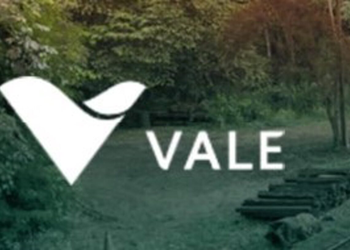 Archivo - La brasileña Vale.VALE - Archivo