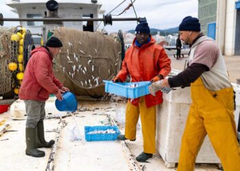 Archivo - Varias personas trabajan en el Puerto de ArenysLorena Sopêna - Europa Press - Archivo
