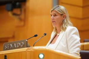 El Senado toma en consideración la ley que blinda la gestión del Estado sobre secretarios, interventores y tesoreros locales