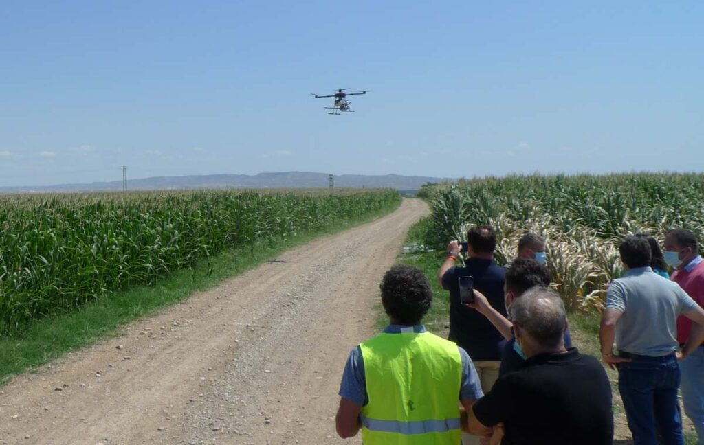 Pruebas de uso de drones para aplicaciones agrícolas en campo.