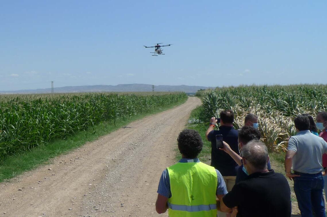 Pruebas de uso de drones para aplicaciones agrícolas en campo.