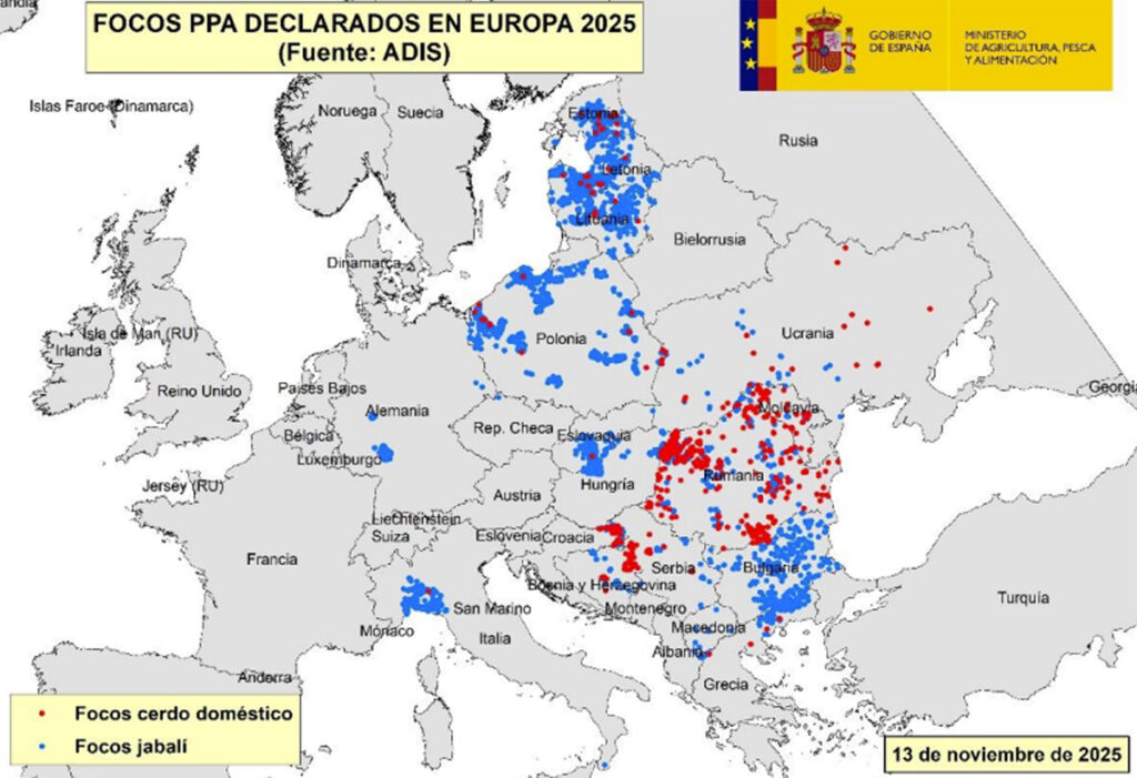 Focos de PPA en Europa a fecha del pasado 13 de noviembre. (Fuente MAPA).