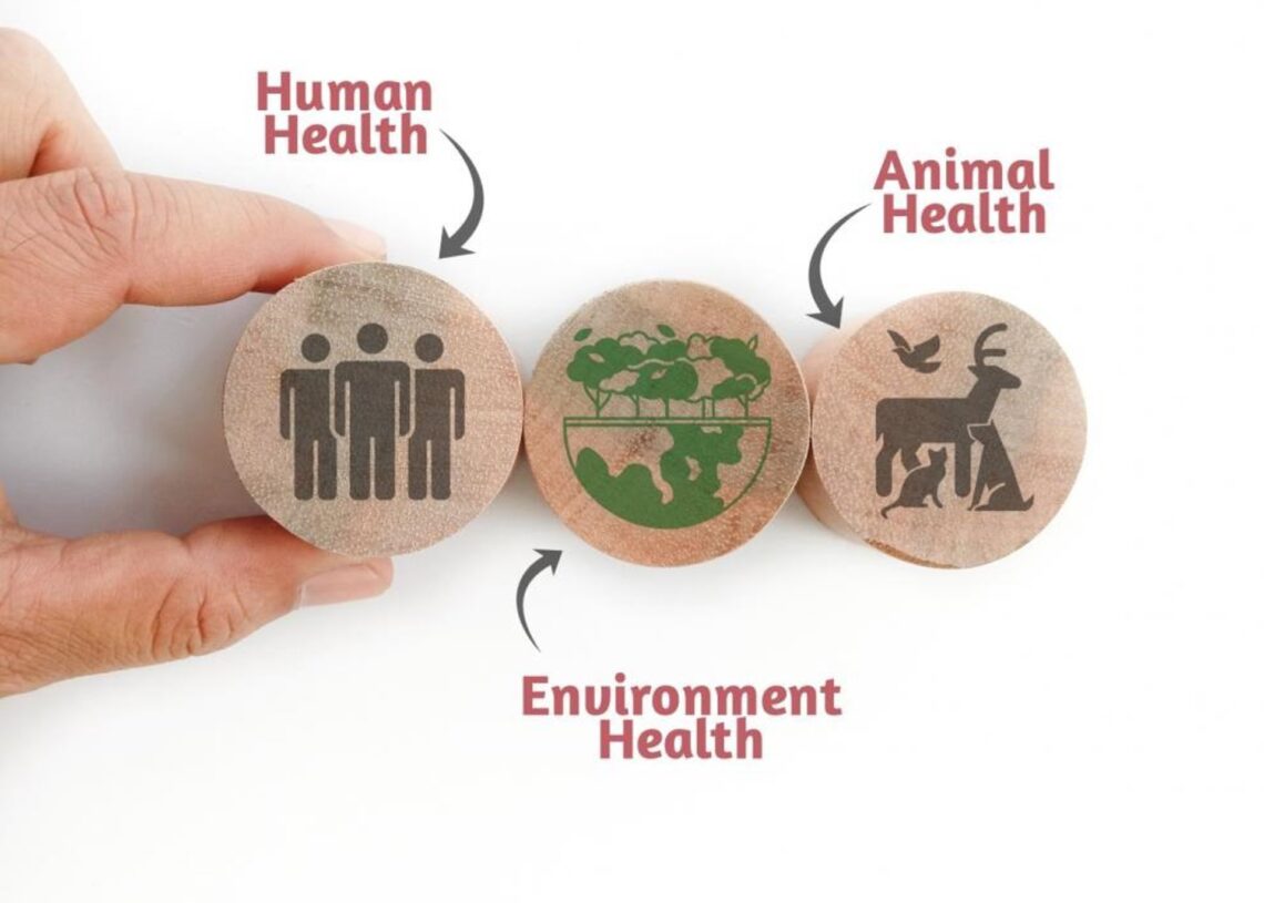 Archivo - Imagen de recurso del enfoque  ‘Una sola salud’.GOBIERNO DE ARAGÓN - Archivo