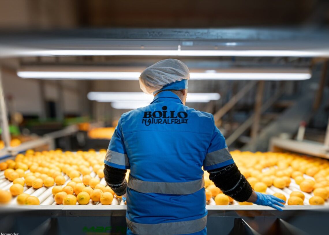 Bollo Natural Fruit se suma al movimiento B Corp.BOLLO NATURAL FRUIT