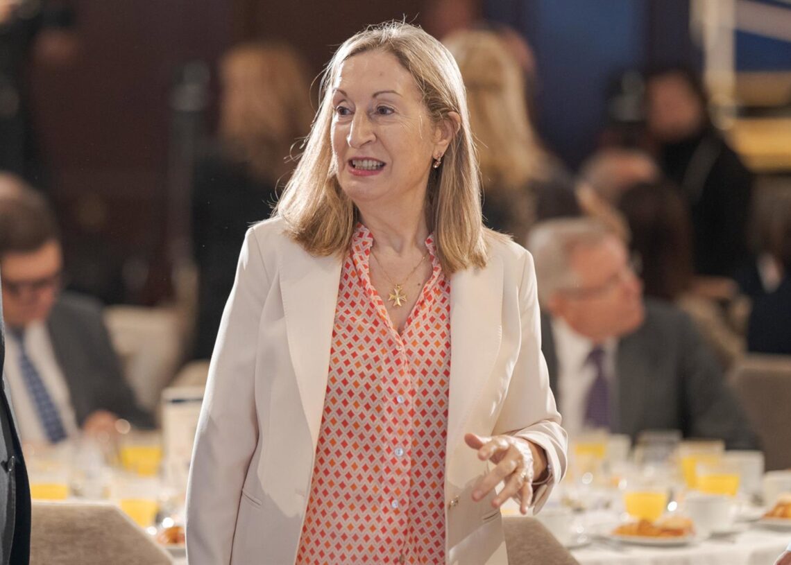 Imagen de archivo de la expresidenta de A.M.A, Ana Pastor.Diego Radamés - Europa Press
