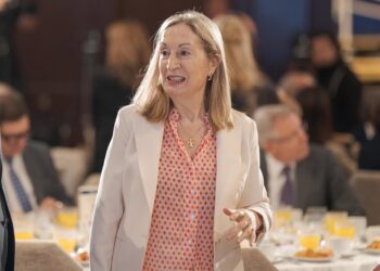 Imagen de archivo de la expresidenta de A.M.A, Ana Pastor.Diego Radamés - Europa Press