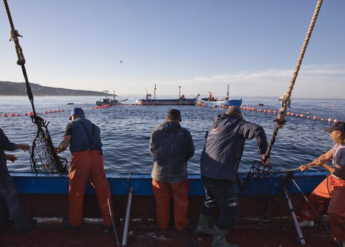 Archivo - Varios pescadores faenandoJuanma Jiménez - Europa Press - Archivo