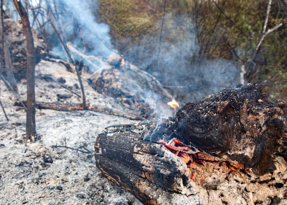 Archivo - Campo quemado por el incendio, Rafael Bastante - Europa Press - Archivo