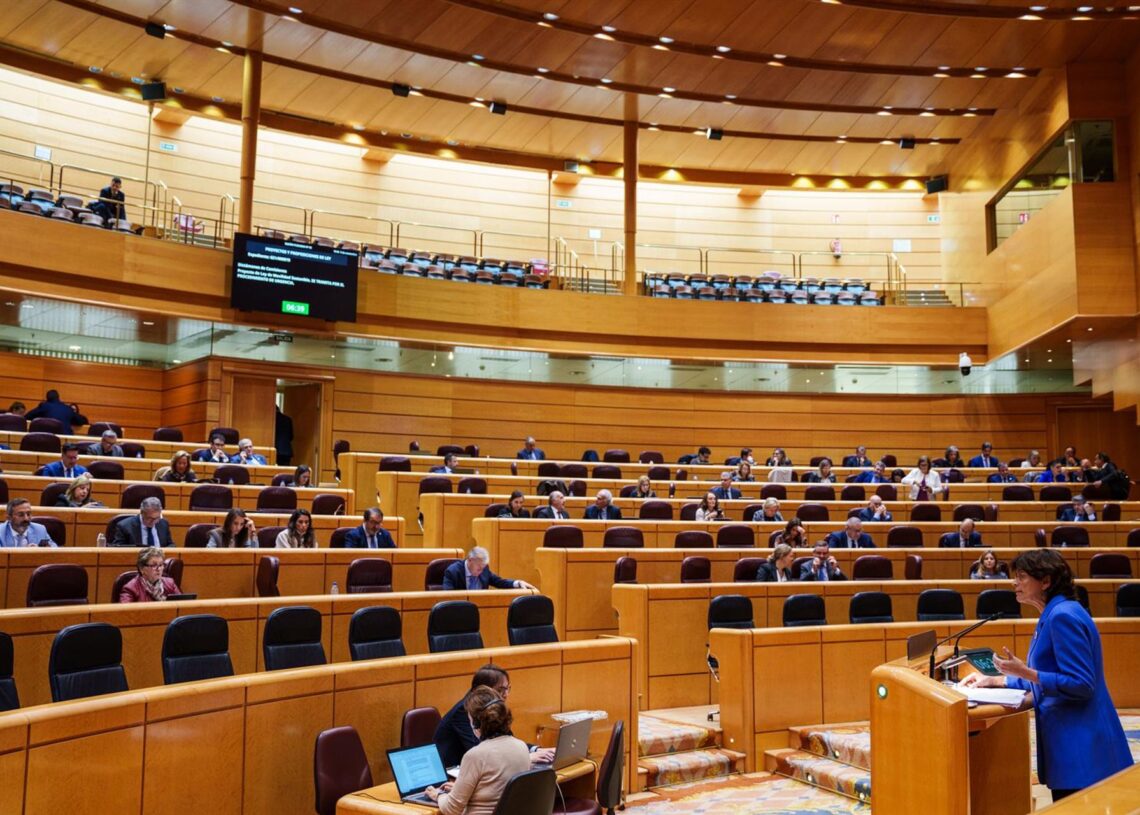 La senadora del BNG María Carmen da Silva interviene durante una sesión plenaria, en el Senado, a 5 de noviembre de 2025, en Madrid (España).Matias Chiofalo - Europa Press