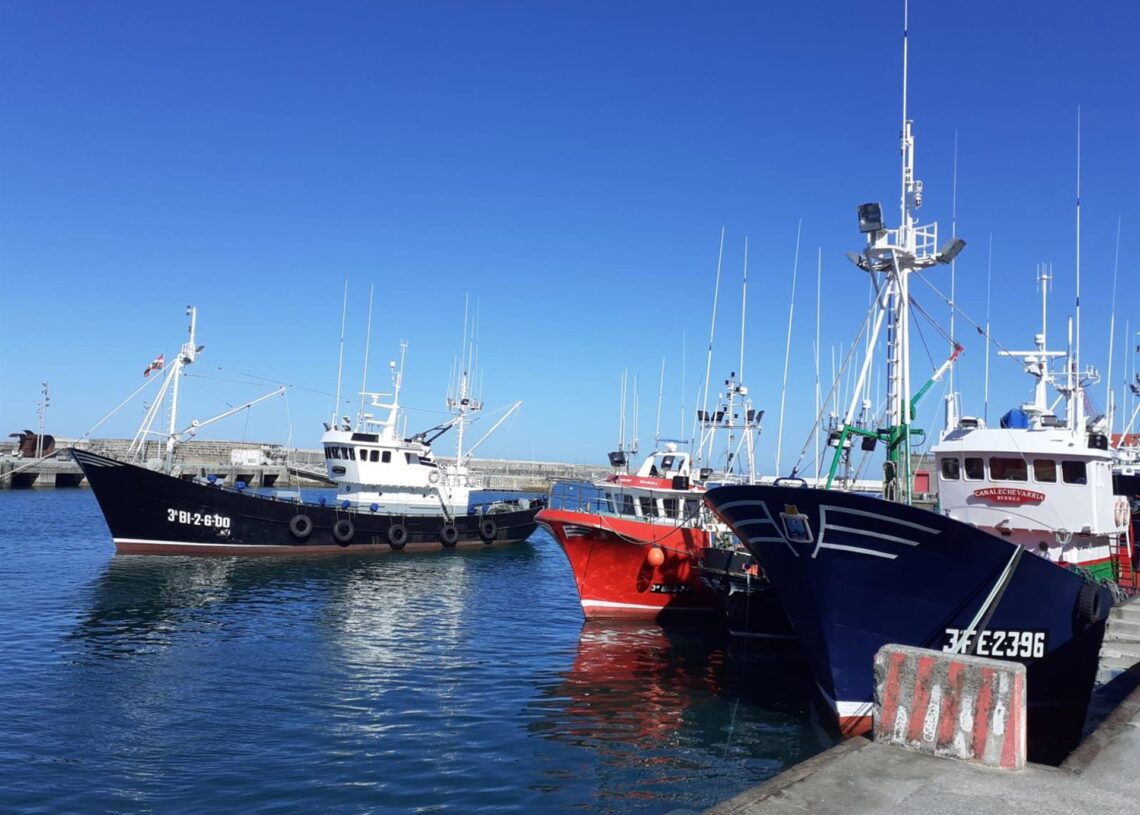 Archivo - Barcos pesqueros en el puerto de Bermeo (Bizkaia)EUROPA PRESS - Archivo