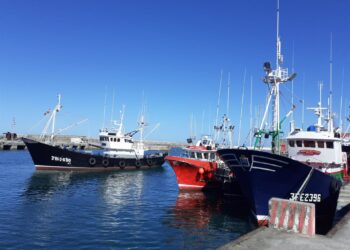 Archivo - Barcos pesqueros en el puerto de Bermeo (Bizkaia)EUROPA PRESS - Archivo