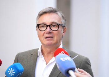 El portavoz del grupo parlamentario Vox en Andalucía, Manuel Gavira (Fotografía de archivo)Joaquin Corchero - Europa Press