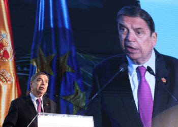 El ministro de Agricultura, Pesca y Alimentación, Luis Planas.Marta Fernández - Europa Press