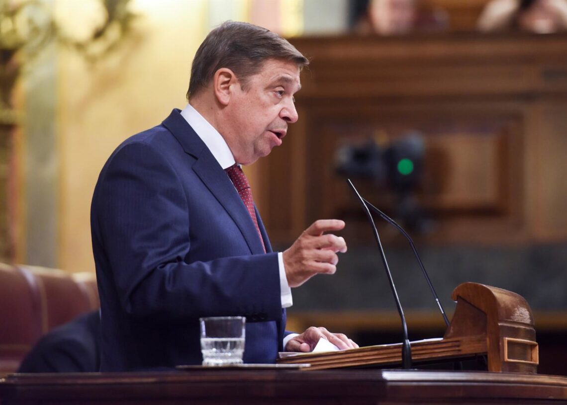 Archivo - El ministro de Agricultura, Pesca y Alimentación, Luis Planas.Alberto Ortega - Europa Press - Archivo