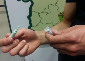 Archivo - Cribado del cáncer colorrectalEUROPA PRESS - Archivo