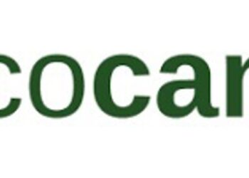 Archivo - Logo de CocampoCOCAMPO - Archivo