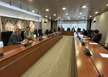 Constitución de la Comisión Especial de Investigación sobre posibles perjuicios causados a la Región de Murcia derivados de las irregularidades en adjudicaciones de las obras de construcción de infraestructuras de Alta VelocidadASAMBLEA REGIONAL