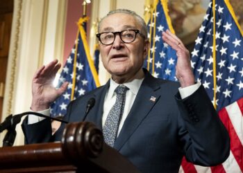 El líder de la minoría demócrata en el Senado de Estados Unidos, Chuck SchumerEuropa Press/Contacto/Michael Brochstein