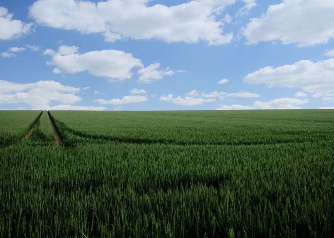 Agricultura abona el anticipo de la PAC más rápido de la historia, con más de 217 millones de euros.GOBIERNO DE ARAGÓN