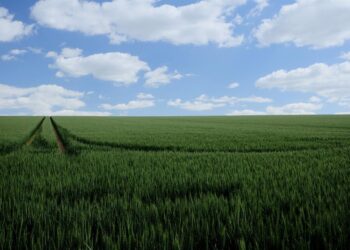 Agricultura abona el anticipo de la PAC más rápido de la historia, con más de 217 millones de euros.GOBIERNO DE ARAGÓN