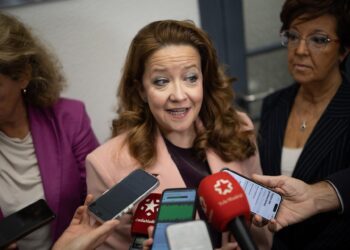 La consejera de Salud de la Comunidad de Madrid, Fátima MatuteAlejandro Martínez Vélez - Europa Press