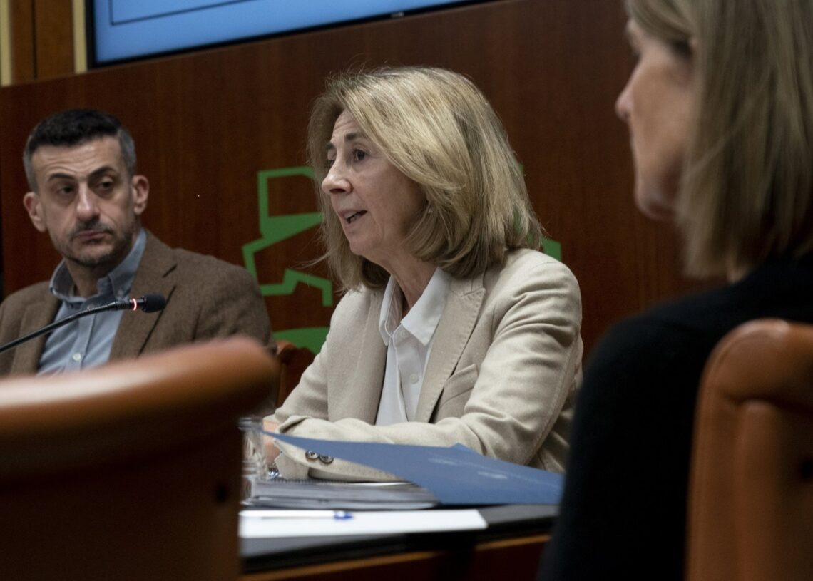 Comparecencia de la fiscal superior del País Vasco en el ParlamentoPARLAMENTO VASCO