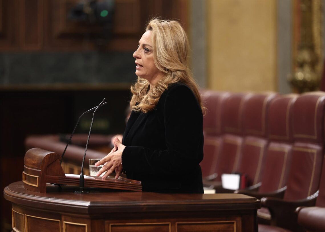 La diputada de Coalición Canaria, Cristina Valido, en la sesión plenaria Eduardo Parra - Europa Press