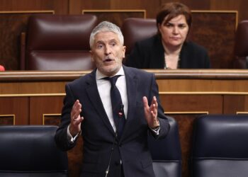 El ministro del Interior, Fernando Grande-Marlaska, durante una sesión de control al Gobierno, en el Congreso de los DiputadosEduardo Parra - Europa Press