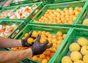 Archivo - Naranjas y mandarinas de temporada en MercadonaMERCADONA - Archivo