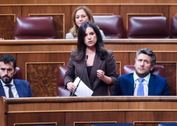 La portavoz de Vox en el Congreso, Pepa Millán, durante una sesión de control al Gobierno, en el Congreso de los Diputados, a 12 de noviembre de 2025, en Madrid (España).Gustavo Valiente - Europa Press