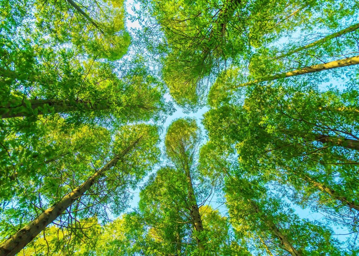 Feneval, movilidad sostenibleFENEVAL